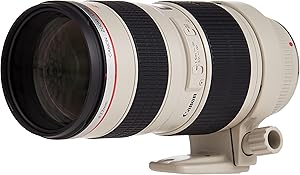 Canon EF 70-200mm f/2.8L USM Telephoto Zoom Lens