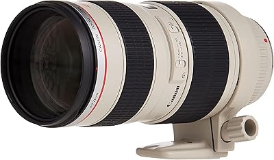 Canon EF 70-200mm f/2.8L USM Telephoto Zoom Lens