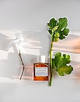 KORRES Avgoustos Eau de Toilette, Fig & Citrus, 1.69 Fl Oz — image 2