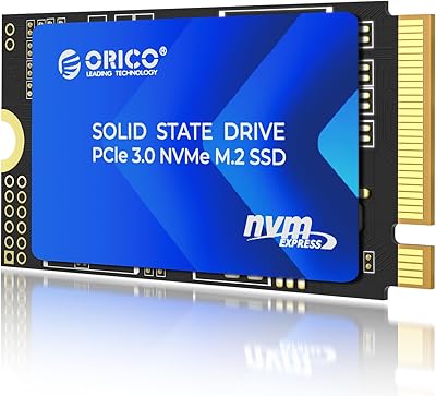 ORICO M.2 2242 NVMe SSD 256GB