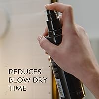 Aveda Speed of Light Blow Dry Accelerator Spray 6.7oz — image 2