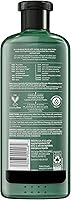 Herbal Essences Bio: Renew Potent Aloe + Mango Conditioner 5.523 Fl Oz — image 2