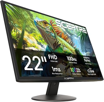 Sceptre E225W-19203R 22-inch 1080p Monitor