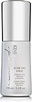 Kenra Platinum Blow-Dry Spray 3.4oz — image 1