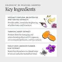 VIRTUE De-Brassing Shampoo 8oz — image 3