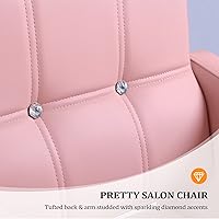 OmySalon Pink Hair Salon Chair — image 4