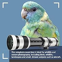 Lightdow 420-800mm F8.3 Telephoto Zoom Lens for Canon EF/EF-S Mount — image 3
