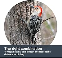 Celestron TrailSeeker 8x42 Binoculars — image 5