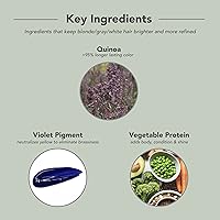 FRAMESI Color Lover Dynamic Blonde Purple Shampoo 8.45oz — image 10