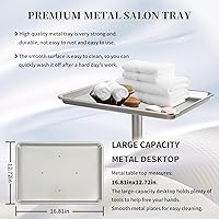 Takeashine Salon Tray on Wheels — image 2