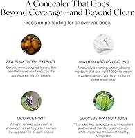 Ogee Complexion Perfecting Under Eye Concealer - Cedar 1.20C — image 5