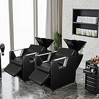 Polar Aurora Backwash Chair — image 2