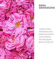 Alteya Organics Rose Water Toner 17 Fl Oz — image 3