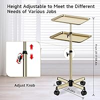 LWADALN Salon Tray, Champagne Gold — image 6