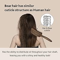 Yao Boar Bristle Hair Brush — image 7