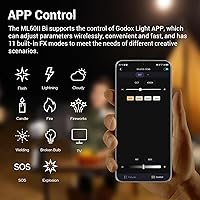 Godox ML60IIBi Bi-Color LED Video Light — image 8