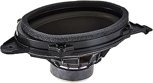 GM Genuine Parts 13264617 6x9 Rear Radio Oval Woofer Speaker Review
