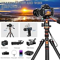 Nietoto 2-in-1 Tripod for Camera & Hunting, 68″ — image 6