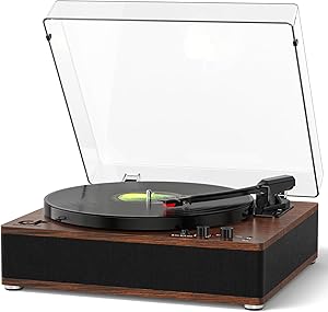 DANFI AUDIO DF TE-3008 Bluetooth Turntable Review