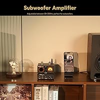 AIYIMA A3001 Mini Mono Amp 300W Subwoofer Amplifier — image 6