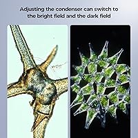 Vabiooth Lab Darkfield & Brightfield Trinocular Compound Microscope 40X-2500X Magnification — image 2