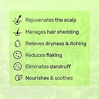 LUSTEL Rosemary Strengthening Volumizing Shampoo and Conditioner Set - 16 Fl Oz Each — image 3