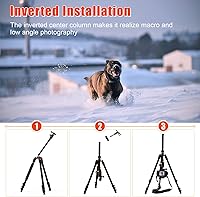 PHOPIK PT244 77″ Camera Tripod — image 6