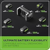 Greenworks 500W 24V Portable Power Inverter with 4 Batteries — image 5