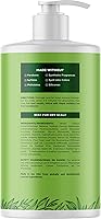 Maple Holistics Tea Tree Oil Shampoo 25 Fl Oz — image 6