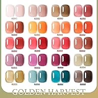 GAOY 23 Pcs Gel Nail Polish Kit, Fall Colors — image 6