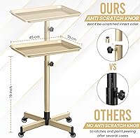 JayGlobal Gold Salon Tray On Wheels — image 2