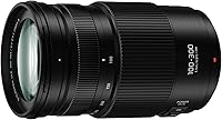 Panasonic LUMIX 100-300mm F4.0-5.6 Telephoto Lens — image 3