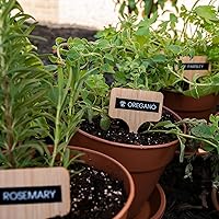 Brother P-touch PTH111 Label Maker — image 10