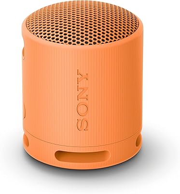 Sony SRS-XB100 Wireless Bluetooth Portable Speaker