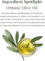 DHC Olive Virgin Oil Essential Cream, 1.7 oz — image 4