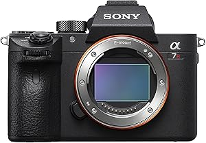 Sony Alpha 7R IV Full Frame Mirrorless Camera Review