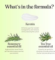 Maple Holistics Tea Tree Shampoo and Conditioner Set 16oz — image 6