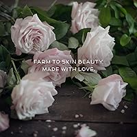 Farmstead Apothecary 100% Natural Anti-Aging Face Cream with Jojoba Oil, 4oz (Rose Water) — image 7