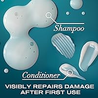 OGX Renewing Argan Oil of Morocco Shampoo & Conditioner Set, 25.4 fl oz — image 3