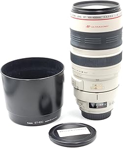 Canon EF 100-400mm f/4.5-5.6L IS USM Telephoto Zoom Lens