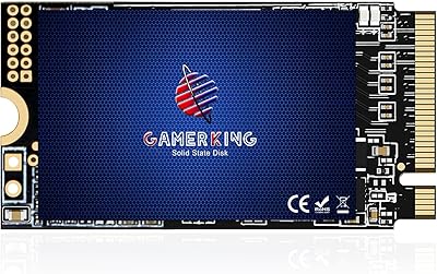 GAMERKING 256GB M.2 2242 NVMe SSD