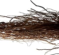 Yves Saint Laurent L'Homme Eau de Toilette 100mL — image 3