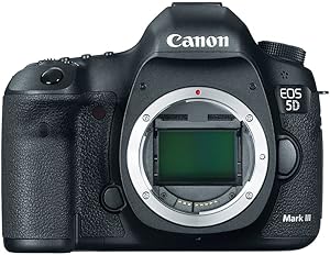 Canon EOS 5D Mark III Review