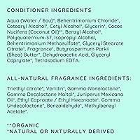 Bubbsi Creamy Coconut Oil Hair Conditioner for Kids, 8oz — image 6