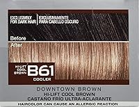 L'Oreal Paris Feria Multi-Faceted Shimmering Hair Color B61 Downtown Brown — image 9
