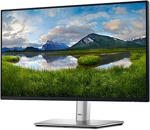 Dell 24 Monitor P2422H