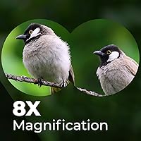 Wingspan Optics FieldView 8X32 Binoculars — image 3