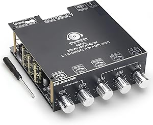 DAJUNGUO S600X 2.1 Channel Amplifier Board Review
