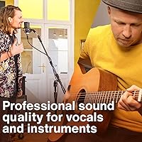 Lewitt LCT 240 Pro Condenser Microphone — image 3