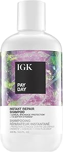IGK PAY DAY Instant Repair Shampoo 8 Oz Review